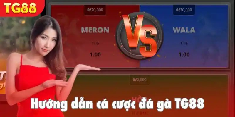 Hướng dẫn bắt kèo chọi kê tại sân chơi